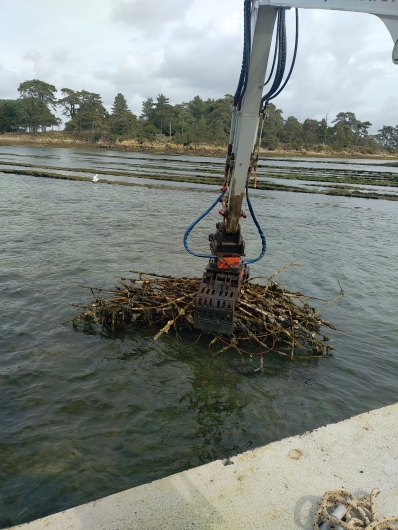 Nettoyage de parcs_3.jpg